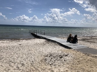 Strandparken ved Køge Bugt