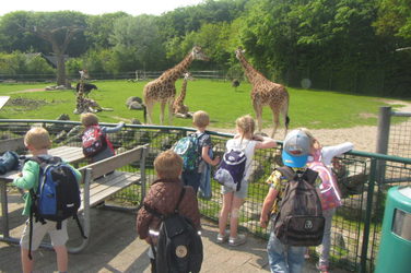 Aalborg Zoologiske Have Girafhus
