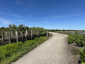 Naturkraft -  Ankomst og stisystemet