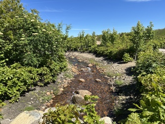 Naturkraft -  Ankomst og stisystemet