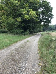 Nationalpark Mols Bjerge - Vandrertur til Agri Baunehøj