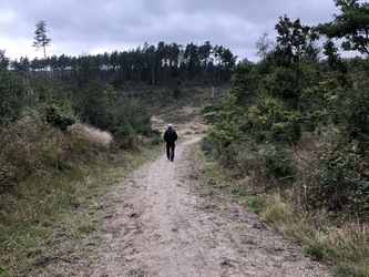 Nationalpark Mols Bjerge - Vandrertur til Agri Baunehøj