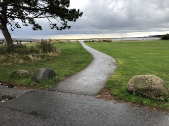 Amager Strandpark - Kajakbro